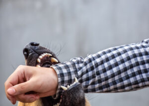 Why Choose Graves Thomas Rotunda Injury Law Group?